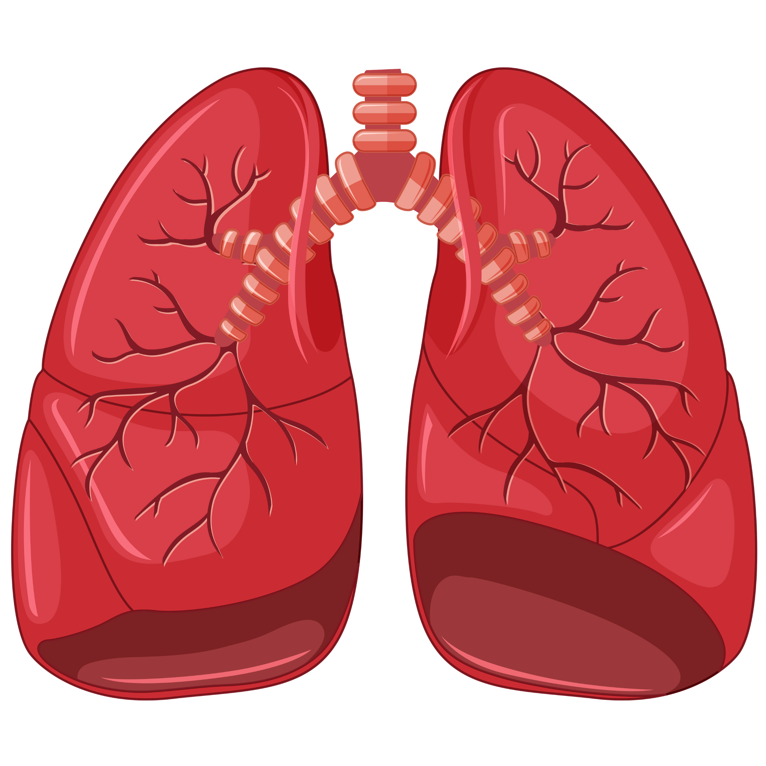 Lung Icon
